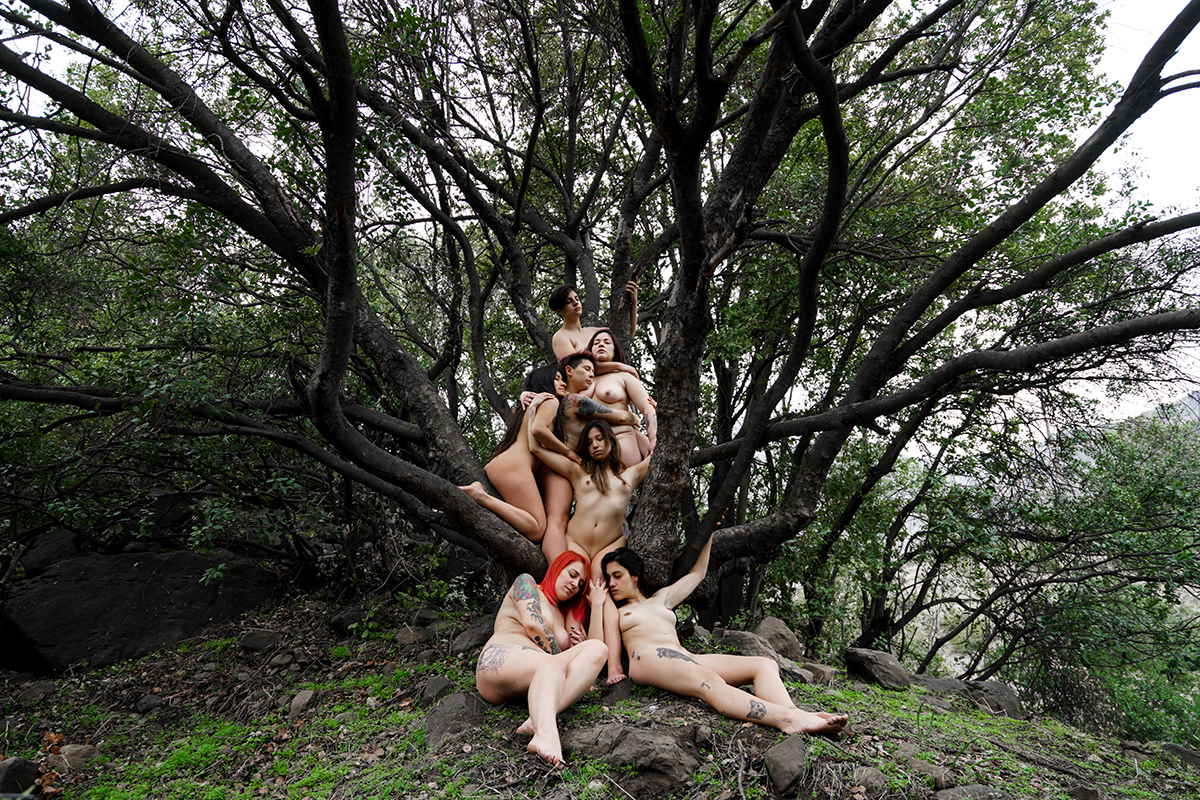 We went to the forest